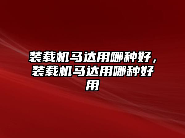 裝載機(jī)馬達(dá)用哪種好，裝載機(jī)馬達(dá)用哪種好用