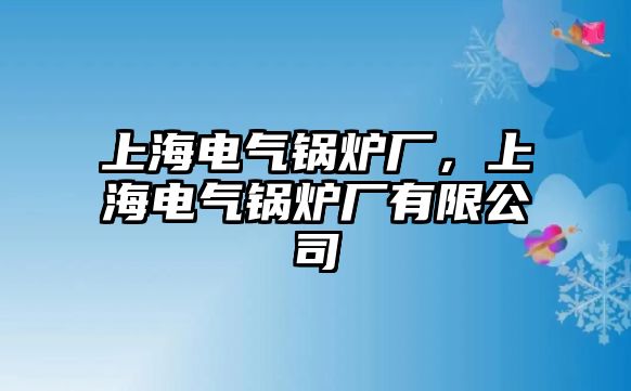 上海電氣鍋爐廠，上海電氣鍋爐廠有限公司