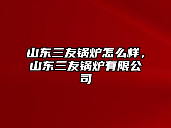 山東三友鍋爐怎么樣，山東三友鍋爐有限公司