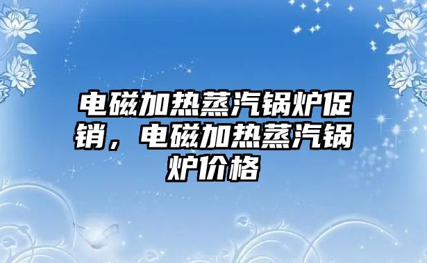 電磁加熱蒸汽鍋爐促銷，電磁加熱蒸汽鍋爐價(jià)格