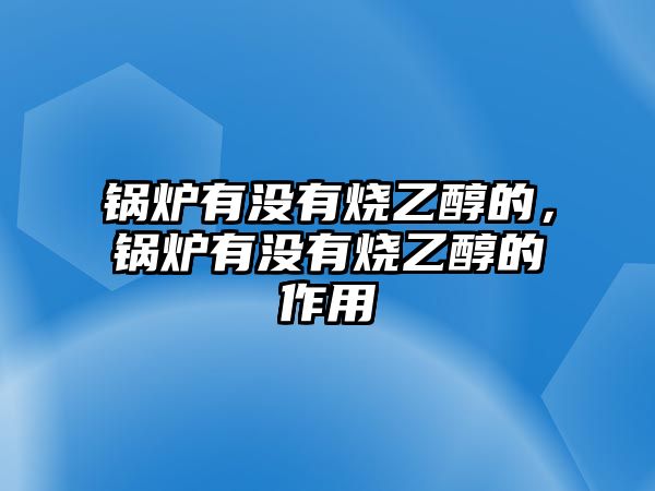 鍋爐有沒有燒乙醇的，鍋爐有沒有燒乙醇的作用