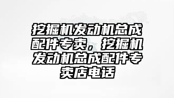 挖掘機(jī)發(fā)動機(jī)總成配件專賣，挖掘機(jī)發(fā)動機(jī)總成配件專賣店電話