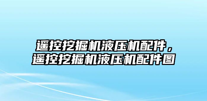 遙控挖掘機液壓機配件，遙控挖掘機液壓機配件圖