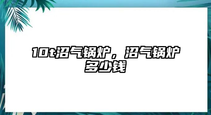 10t沼氣鍋爐，沼氣鍋爐多少錢