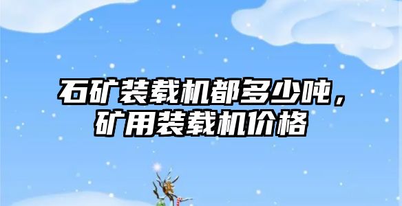 石礦裝載機都多少噸，礦用裝載機價格