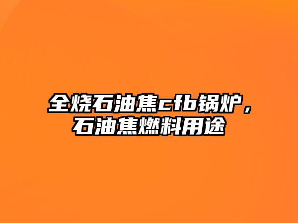 全燒石油焦cfb鍋爐，石油焦燃料用途