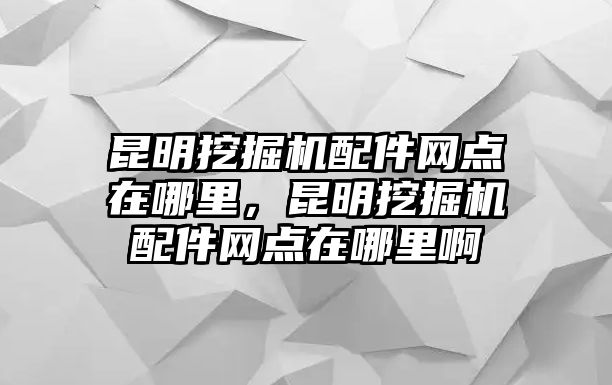 昆明挖掘機(jī)配件網(wǎng)點(diǎn)在哪里，昆明挖掘機(jī)配件網(wǎng)點(diǎn)在哪里啊