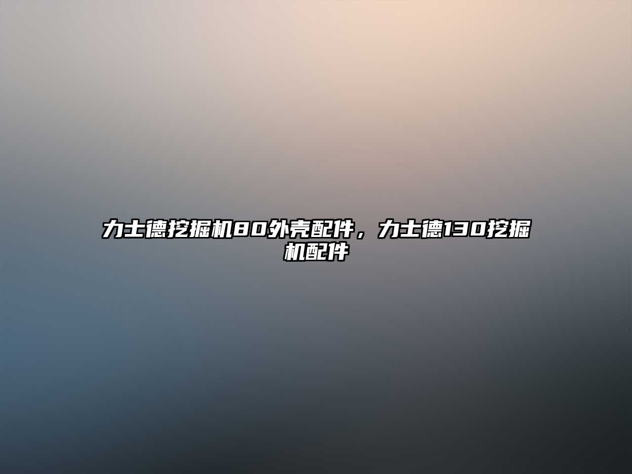 力士德挖掘機80外殼配件，力士德130挖掘機配件