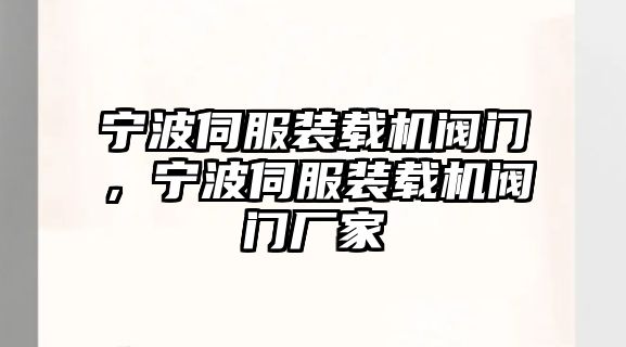 寧波伺服裝載機(jī)閥門，寧波伺服裝載機(jī)閥門廠家