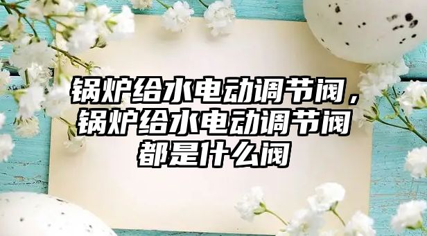 鍋爐給水電動調節(jié)閥，鍋爐給水電動調節(jié)閥都是什么閥