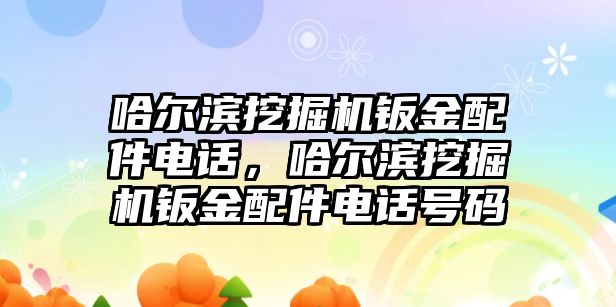 哈爾濱挖掘機(jī)鈑金配件電話，哈爾濱挖掘機(jī)鈑金配件電話號碼