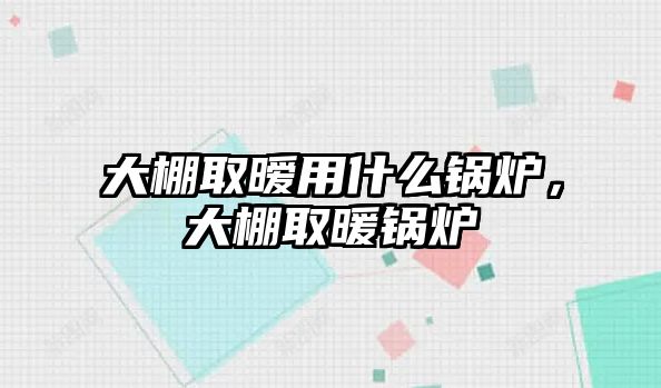 大棚取曖用什么鍋爐，大棚取暖鍋爐