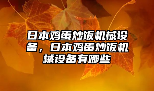 日本雞蛋炒飯機械設備，日本雞蛋炒飯機械設備有哪些