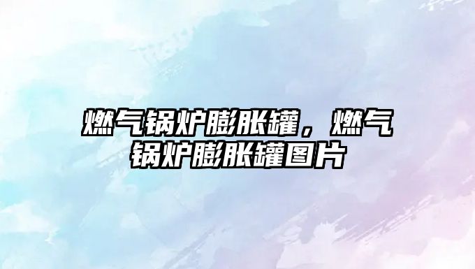 燃?xì)忮仩t膨脹罐，燃?xì)忮仩t膨脹罐圖片