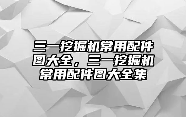 三一挖掘機(jī)常用配件圖大全，三一挖掘機(jī)常用配件圖大全集