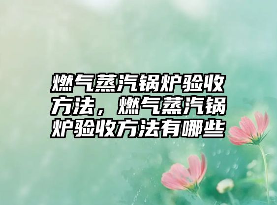 燃氣蒸汽鍋爐驗收方法，燃氣蒸汽鍋爐驗收方法有哪些