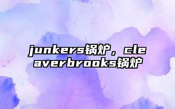 junkers鍋爐，cleaverbrooks鍋爐