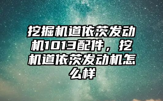 挖掘機道依茨發(fā)動機1013配件，挖機道依茨發(fā)動機怎么樣