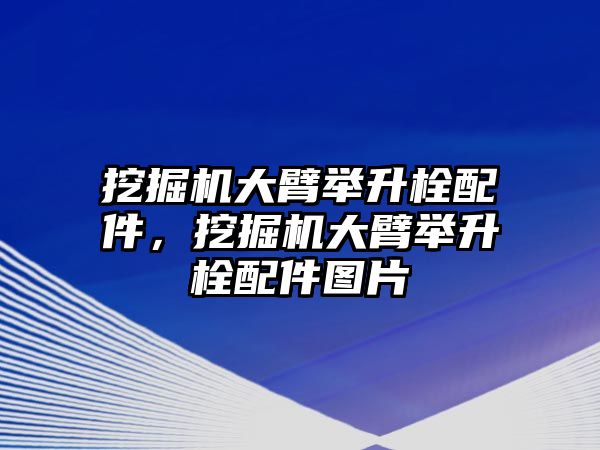 挖掘機(jī)大臂舉升栓配件，挖掘機(jī)大臂舉升栓配件圖片