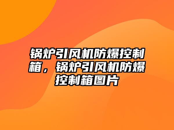 鍋爐引風機防爆控制箱，鍋爐引風機防爆控制箱圖片