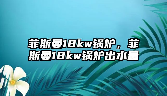 菲斯曼18kw鍋爐，菲斯曼18kw鍋爐出水量