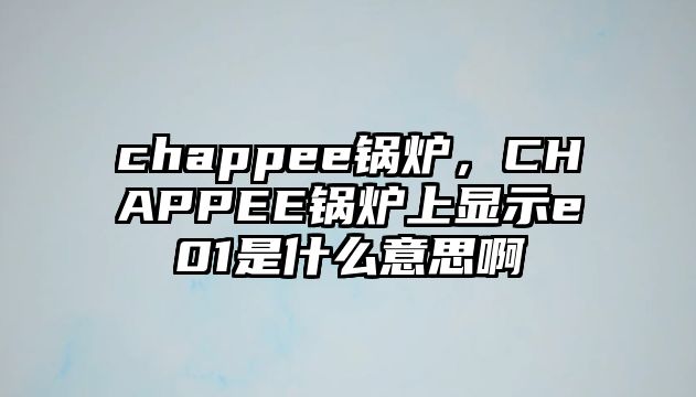 chappee鍋爐，CHAPPEE鍋爐上顯示e01是什么意思啊