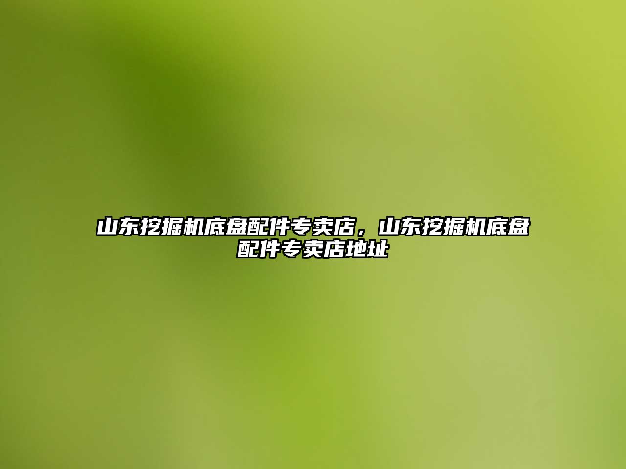 山東挖掘機底盤配件專賣店，山東挖掘機底盤配件專賣店地址