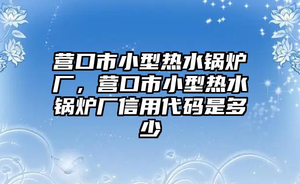 營(yíng)口市小型熱水鍋爐廠，營(yíng)口市小型熱水鍋爐廠信用代碼是多少