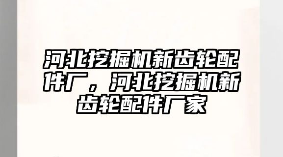 河北挖掘機(jī)新齒輪配件廠，河北挖掘機(jī)新齒輪配件廠家