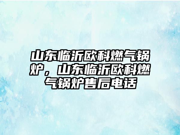 山東臨沂歐科燃?xì)忮仩t，山東臨沂歐科燃?xì)忮仩t售后電話