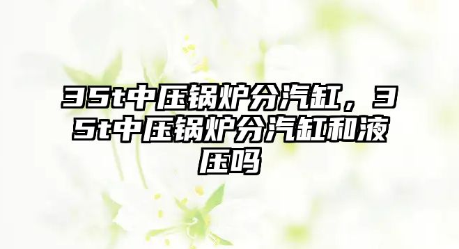 35t中壓鍋爐分汽缸，35t中壓鍋爐分汽缸和液壓嗎