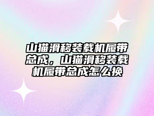 山貓滑移裝載機履帶總成，山貓滑移裝載機履帶總成怎么換