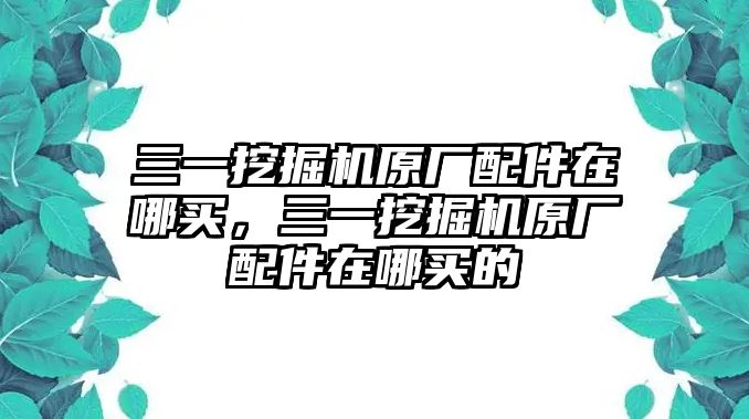 三一挖掘機原廠配件在哪買，三一挖掘機原廠配件在哪買的