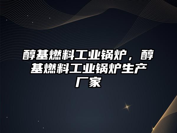 醇基燃料工業(yè)鍋爐，醇基燃料工業(yè)鍋爐生產(chǎn)廠家