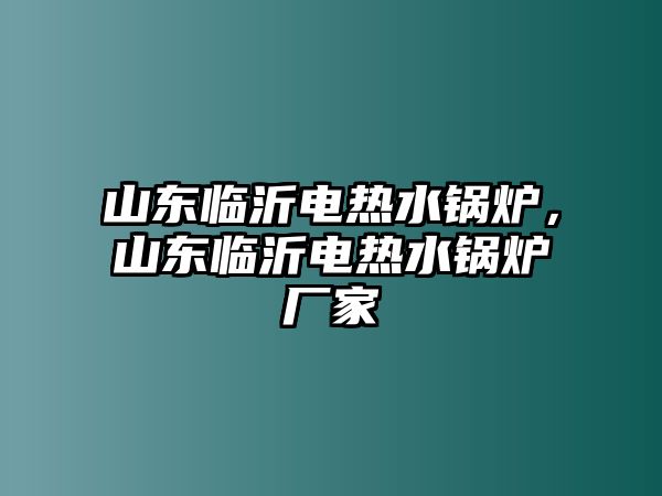 山東臨沂電熱水鍋爐，山東臨沂電熱水鍋爐廠家