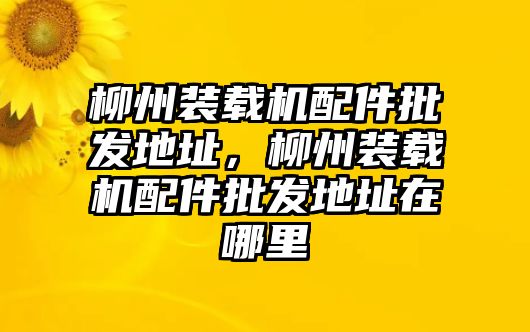 柳州裝載機配件批發(fā)地址，柳州裝載機配件批發(fā)地址在哪里