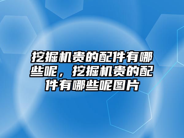 挖掘機貴的配件有哪些呢，挖掘機貴的配件有哪些呢圖片