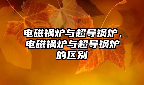 電磁鍋爐與超導(dǎo)鍋爐，電磁鍋爐與超導(dǎo)鍋爐的區(qū)別