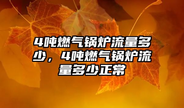 4噸燃?xì)忮仩t流量多少，4噸燃?xì)忮仩t流量多少正常