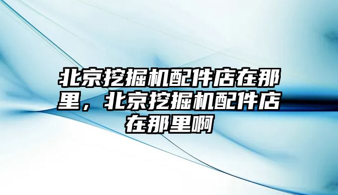 北京挖掘機(jī)配件店在那里，北京挖掘機(jī)配件店在那里啊