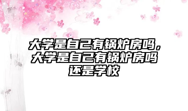 大學(xué)是自己有鍋爐房嗎，大學(xué)是自己有鍋爐房嗎還是學(xué)校