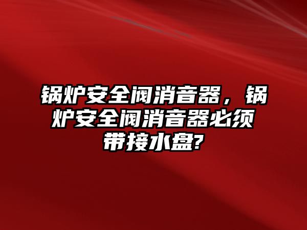 鍋爐安全閥消音器，鍋爐安全閥消音器必須帶接水盤(pán)?