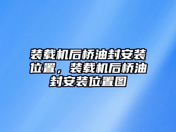 裝載機(jī)后橋油封安裝位置，裝載機(jī)后橋油封安裝位置圖