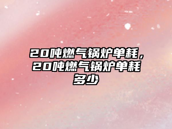 20噸燃?xì)忮仩t單耗，20噸燃?xì)忮仩t單耗多少