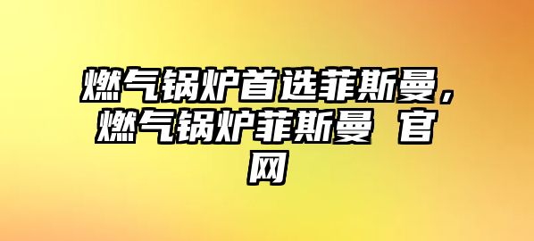 燃?xì)忮仩t首選菲斯曼，燃?xì)忮仩t菲斯曼 官網(wǎng)