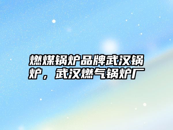 燃煤鍋爐品牌武漢鍋爐，武漢燃?xì)忮仩t廠