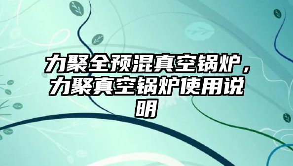 力聚全預混真空鍋爐，力聚真空鍋爐使用說明