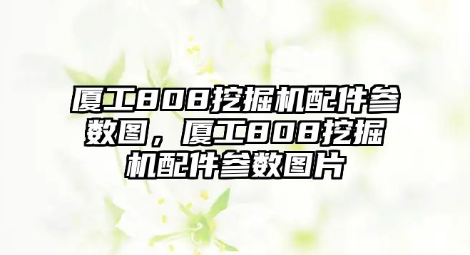 廈工808挖掘機(jī)配件參數(shù)圖，廈工808挖掘機(jī)配件參數(shù)圖片