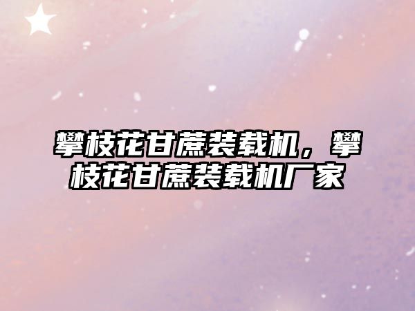 攀枝花甘蔗裝載機，攀枝花甘蔗裝載機廠家