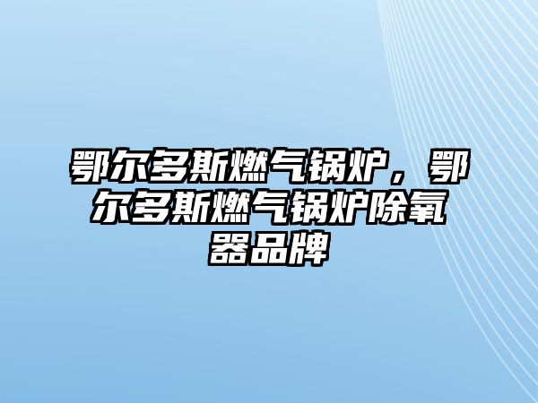 鄂爾多斯燃?xì)忮仩t，鄂爾多斯燃?xì)忮仩t除氧器品牌